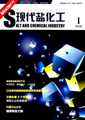 现代盐化工 现代盐化工