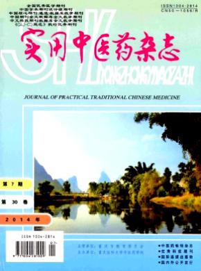 实用中医药 实用中医药