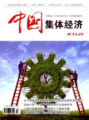 中国集体经济 中国集体经济