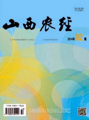 山西农经 山西农经