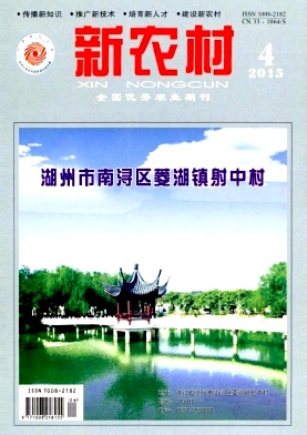 新农村 新农村