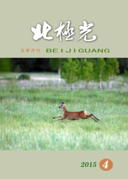 北极光 北极光
