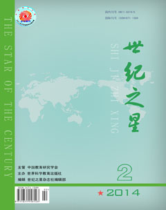 世纪之星 世纪之星