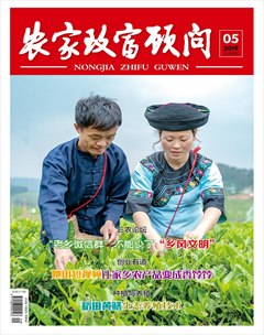 农家致富顾问 农家致富顾问