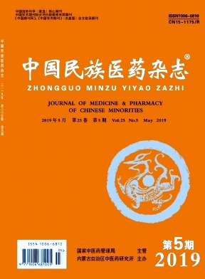 中国民族医药 中国民族医药
