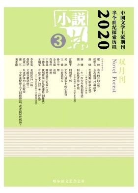 小说林 小说林