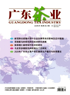 广东茶业