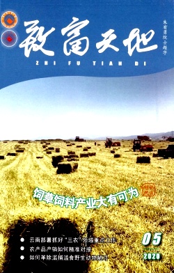 致富天地 致富天地